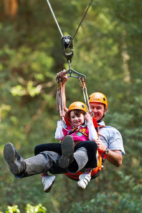 Zipline At Illawarra Fly - Accommodation Gladstone 0
