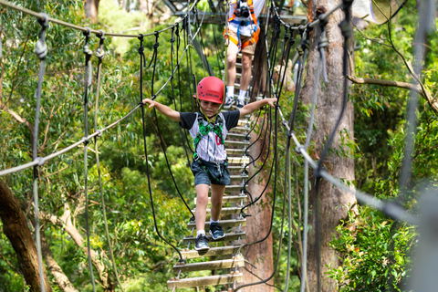 Zipline At Illawarra Fly - Accommodation Gladstone 1