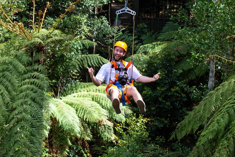 Zipline At Illawarra Fly - Accommodation Gladstone 2