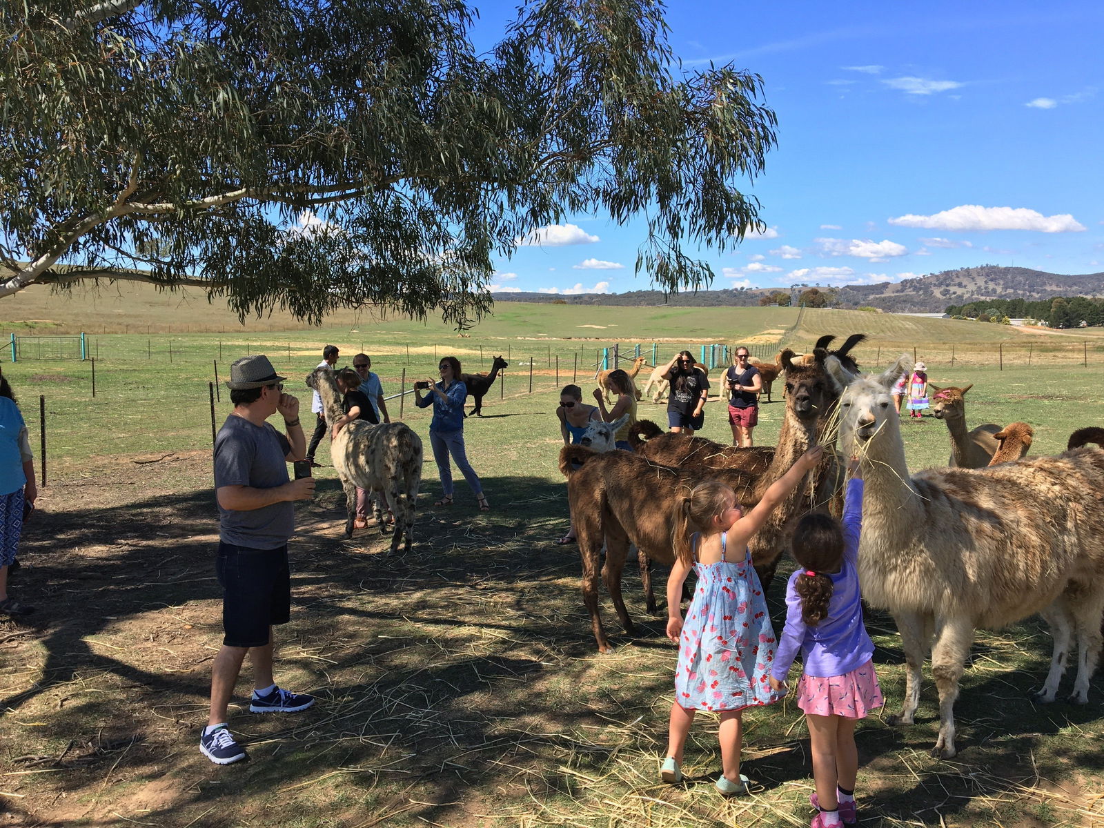 Burra NSW Accommodation Gladstone