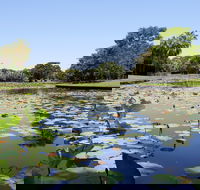 Anderson Park Botanic Gardens - Accommodation Gladstone