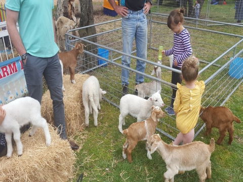 Animal Farm Visit - Accommodation Gladstone 2