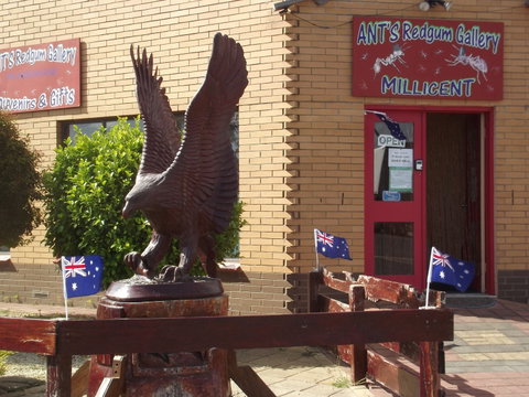 Ant's Redgum Gallery - Accommodation Gladstone 0