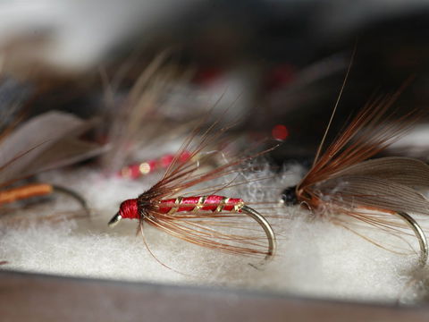 Australian Fly Fishing Museum - Accommodation Gladstone 0