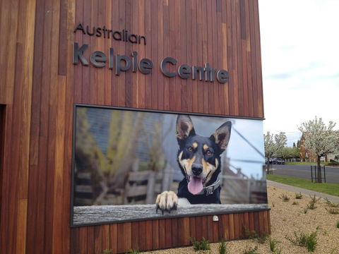 Australian Kelpie Centre - Accommodation Gladstone 0