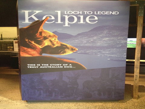 Australian Kelpie Centre - Accommodation Gladstone 1