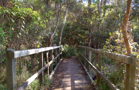 Awaba Bay Foreshore Walk - Accommodation Gladstone 0
