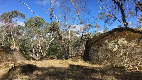 Bailey's Rocks - Dergholm State Park - Accommodation Gladstone 0