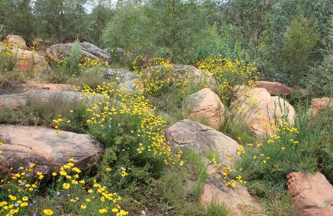 Ben Hall's Cave Walking Track - Accommodation Gladstone 0