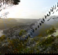 Berowra Valley National Park - Accommodation Gladstone