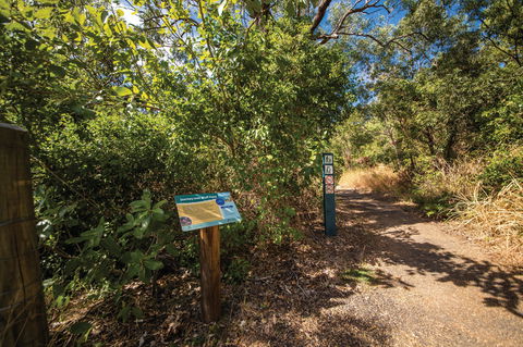 Bluff Point Circuit, Capricorn Coast National Park - Accommodation Gladstone 1