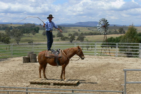 Boggy Creek Show - Accommodation Gladstone 0
