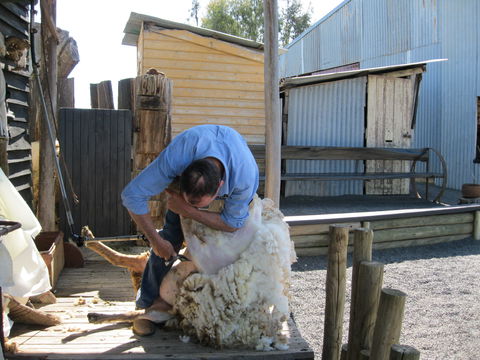 Boggy Creek Show - Accommodation Gladstone 2
