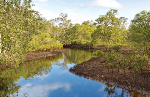 Canoe Evans River Paddle Route - Accommodation Gladstone 0