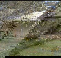 Castlemaine Diggings National Heritage Park - Accommodation Gladstone