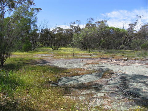 Christmas Rock Walk - Accommodation Gladstone 0