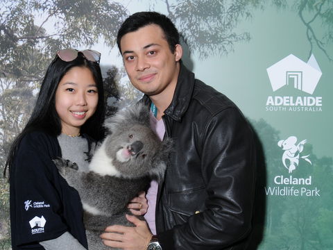 Cleland Wildlife Park - Koala Hold - Accommodation Gladstone 0
