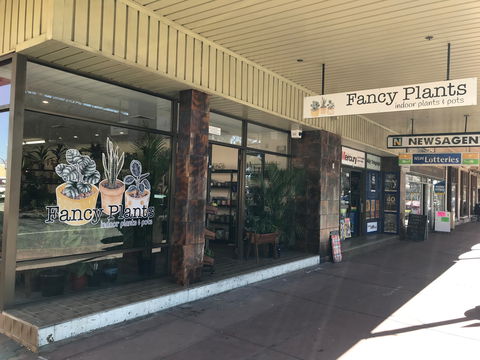 Fancy Plants - Accommodation Gladstone 1