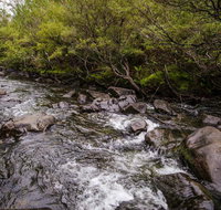 Gloucester River walking track - Accommodation Gladstone
