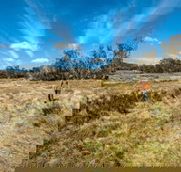 Goldseekers track - Accommodation Gladstone