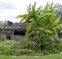 Gold Coast Historical Museum Inc - Accommodation Gladstone