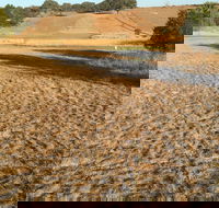 Gunning Golf Club - Accommodation Gladstone