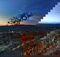 Kalamunda National Park - Accommodation Gladstone