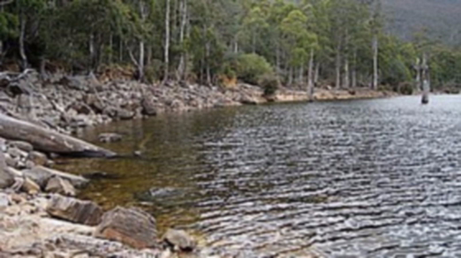 Liena TAS Accommodation Gladstone