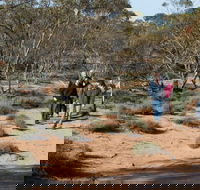 Mallee Stop walking track - Accommodation Gladstone