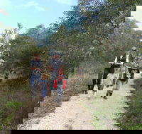 Meningie Lions Walking Trail - Accommodation Gladstone