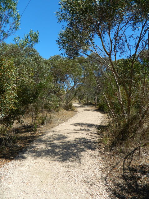 Meningie Lions Walking Trail - Accommodation Gladstone 2
