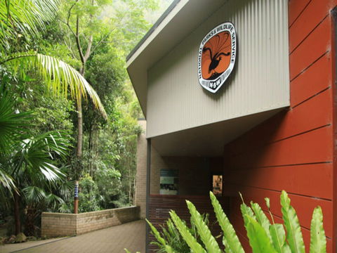 Minnamurra Rainforest Centre: Budderoo National Park - Accommodation Gladstone 0