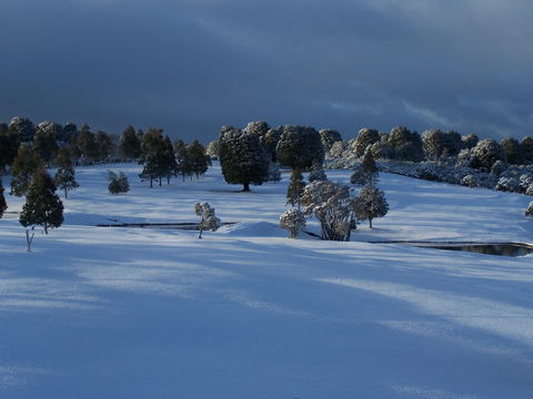 Mountain Vista Golf Club - Accommodation Gladstone 2