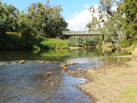 Namoi River And Woolshed Reserve - Accommodation Gladstone 0