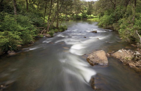 Nymboi-Binderay National Park - Accommodation Gladstone 0