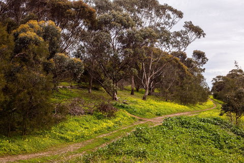 O'Halloran Hill Recreation Park - Accommodation Gladstone 1