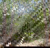 One Mile Creek shared path - Accommodation Gladstone
