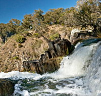Oxley Walking Track - Accommodation Gladstone