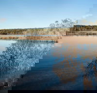Pattimores Lagoon - Accommodation Gladstone