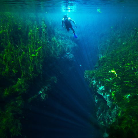 Piccaninnie Ponds Conservation Park - Accommodation Gladstone 0