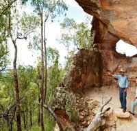 Pilliga Forest - Accommodation Gladstone