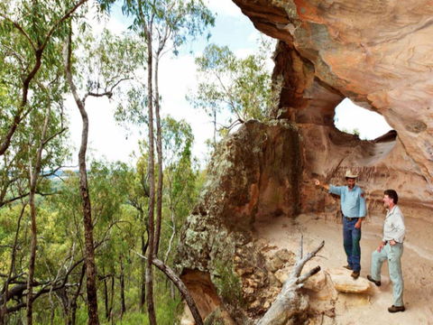 Pilliga Forest - Accommodation Gladstone 0