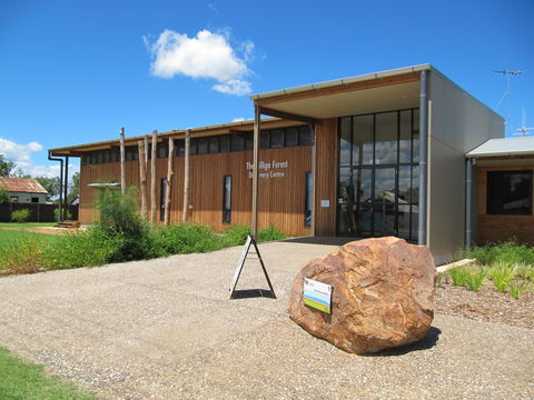 Pilliga Forest - Accommodation Gladstone 2