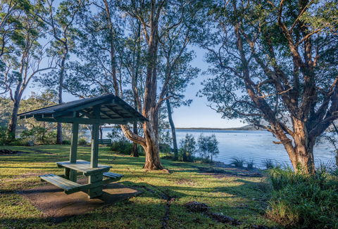 Queens Lake Picnic Area - Accommodation Gladstone 0