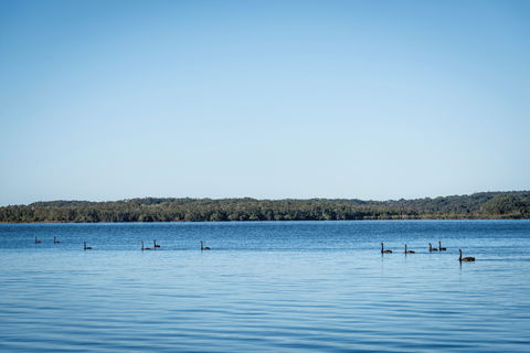 Queens Lake Picnic Area - Accommodation Gladstone 1