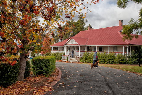 Ringsfield House, Nanango - Accommodation Gladstone 1