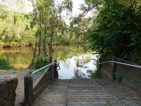 Shapcott Park - Accommodation Gladstone 0