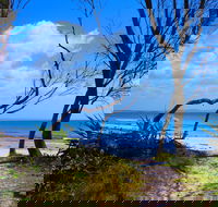 Shark Bay - Accommodation Gladstone