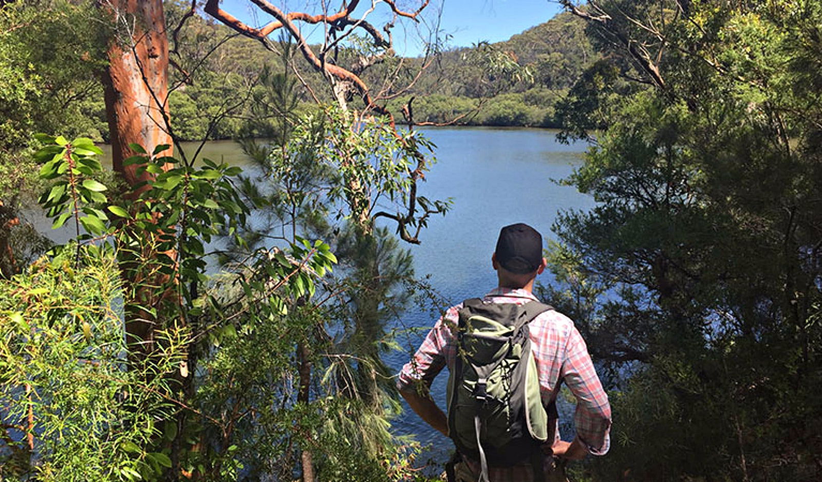 North Turramurra NSW Accommodation Gladstone