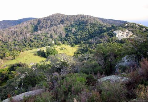The Bellbird - Accommodation Gladstone 0